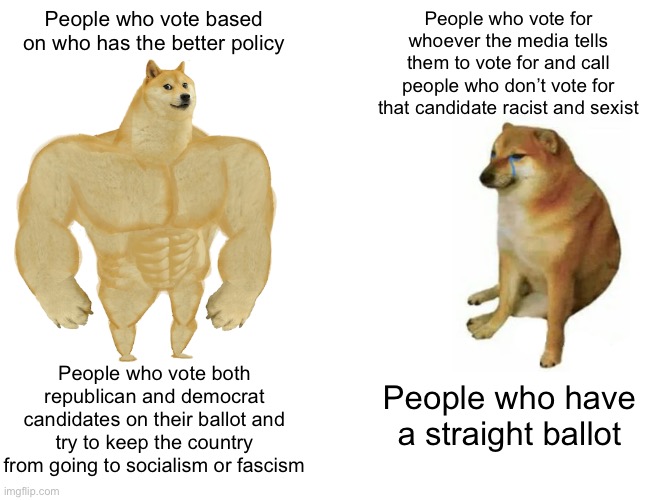 Top part is for presidency, the bottom part is for the senate and house | People who vote based on who has the better policy; People who vote for whoever the media tells them to vote for and call people who don’t vote for that candidate racist and sexist; People who vote both republican and democrat candidates on their ballot and try to keep the country from going to socialism or fascism; People who have a straight ballot | image tagged in memes,buff doge vs cheems,hello fellow americans,it do be like that,ill just leave this here | made w/ Imgflip meme maker