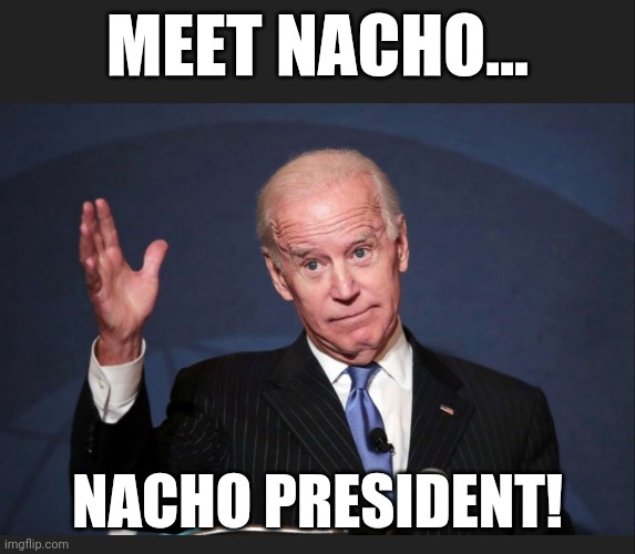 Nacho | MEET NACHO... NACHO PRESIDENT! | image tagged in notmypresident | made w/ Imgflip meme maker