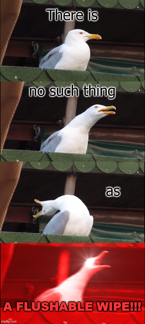 FTLOG!!!! STOP LYING!! | There is; no such thing; as; A FLUSHABLE WIPE!!! | image tagged in memes,inhaling seagull | made w/ Imgflip meme maker