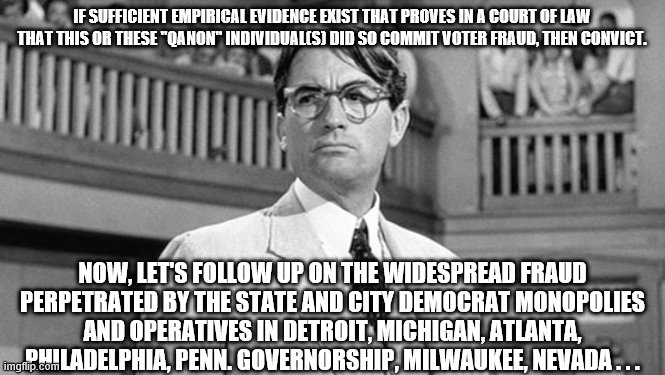 Atticus Finch | IF SUFFICIENT EMPIRICAL EVIDENCE EXIST THAT PROVES IN A COURT OF LAW THAT THIS OR THESE "QANON" INDIVIDUAL(S) DID SO COMMIT VOTER FRAUD, THE | image tagged in atticus finch | made w/ Imgflip meme maker