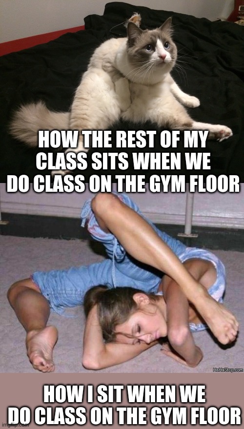 this is how it is. | HOW THE REST OF MY CLASS SITS WHEN WE DO CLASS ON THE GYM FLOOR; HOW I SIT WHEN WE DO CLASS ON THE GYM FLOOR | image tagged in school | made w/ Imgflip meme maker