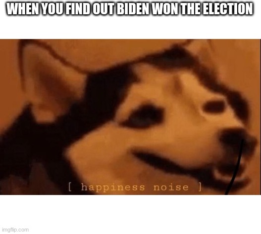 BIDEN WON!! | WHEN YOU FIND OUT BIDEN WON THE ELECTION | image tagged in happiness noise | made w/ Imgflip meme maker