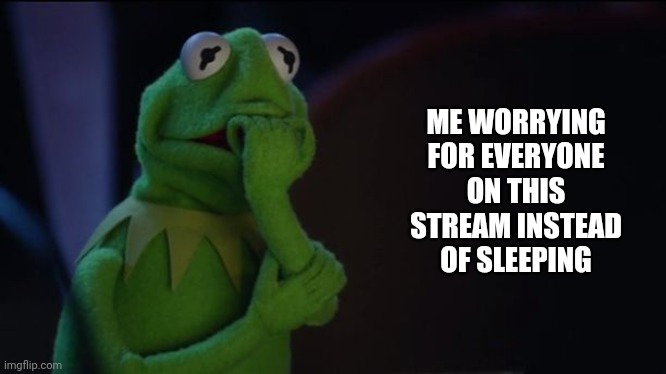 Y'all good out there? | ME WORRYING FOR EVERYONE ON THIS STREAM INSTEAD OF SLEEPING | image tagged in kermit worried face | made w/ Imgflip meme maker