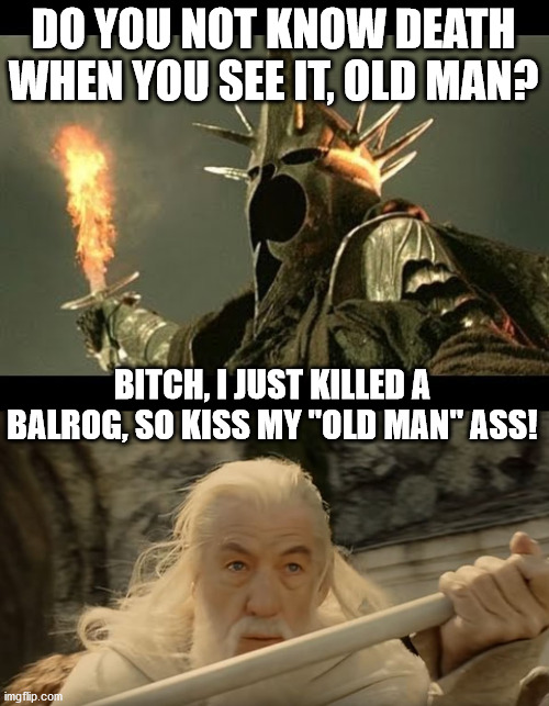DO YOU NOT KNOW DEATH WHEN YOU SEE IT, OLD MAN? BITCH, I JUST KILLED A BALROG, SO KISS MY "OLD MAN" ASS! | image tagged in lotr,gandalf,witch-king | made w/ Imgflip meme maker