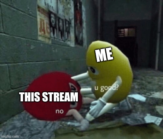 What even is this stream lol | ME; THIS STREAM | image tagged in you good | made w/ Imgflip meme maker
