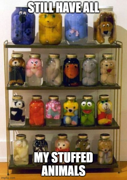 Stuffed Animals |  STILL HAVE ALL; MY STUFFED ANIMALS | image tagged in stuffed animal,toys | made w/ Imgflip meme maker