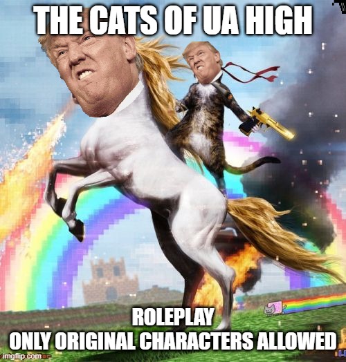 You can use any existing quirk from the MHA universe, just remember that you can ONLY use original characters. | THE CATS OF UA HIGH; ROLEPLAY
ONLY ORIGINAL CHARACTERS ALLOWED | image tagged in memes,welcome to the internets | made w/ Imgflip meme maker