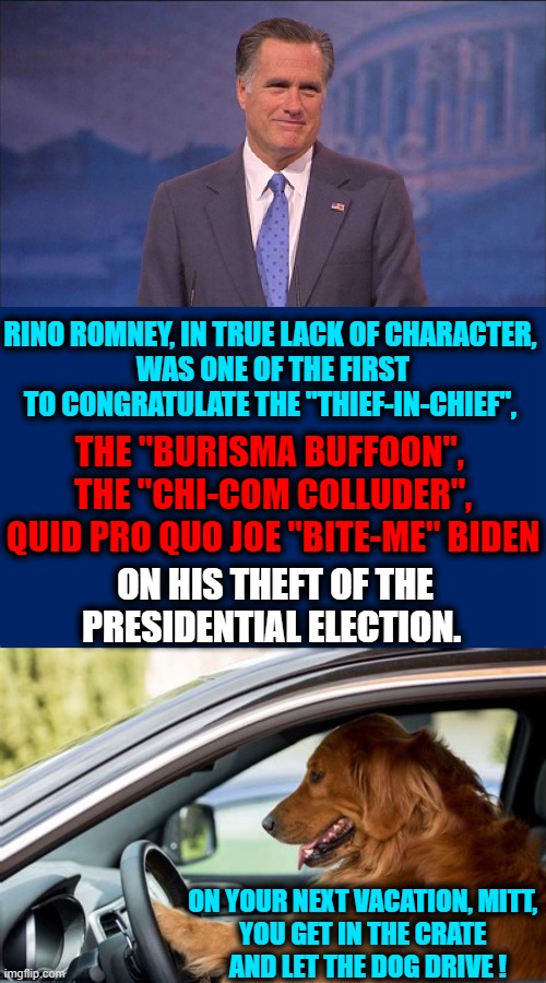 Trans-Republican, Pierre Delecto, Strikes Again! He Should Know Better. Stealing Is A Crime. | RINO ROMNEY, IN TRUE LACK OF CHARACTER, 

WAS ONE OF THE FIRST
TO CONGRATULATE THE "THIEF-IN-CHIEF", THE "BURISMA BUFFOON", 
THE "CHI-COM COLLUDER",
QUID PRO QUO JOE "BITE-ME" BIDEN; ON HIS THEFT OF THE PRESIDENTIAL ELECTION. ON YOUR NEXT VACATION, MITT, 
YOU GET IN THE CRATE 
 AND LET THE DOG DRIVE ! | image tagged in politics,political meme,mitt romney,rino,election 2020,humor | made w/ Imgflip meme maker