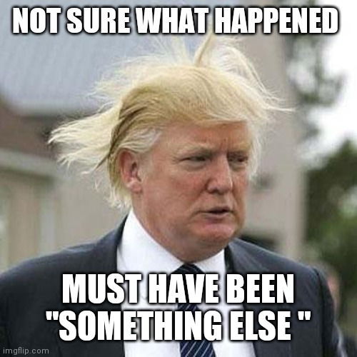 Donald Trump | NOT SURE WHAT HAPPENED; MUST HAVE BEEN "SOMETHING ELSE " | image tagged in donald trump | made w/ Imgflip meme maker