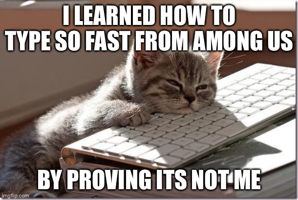 I can now type fast | I LEARNED HOW TO TYPE SO FAST FROM AMONG US; BY PROVING ITS NOT ME | image tagged in bored keyboard cat | made w/ Imgflip meme maker