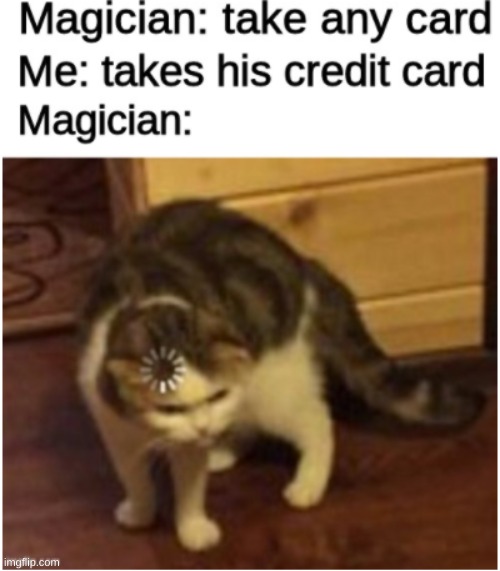 Magician is unspecific | image tagged in really funny,memes,magic,cat,makes sense,cat loading | made w/ Imgflip meme maker