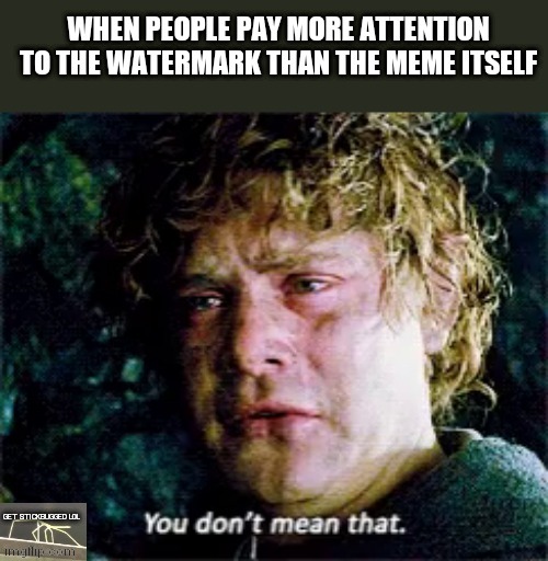 image tagged in samwise you don't mean that,watermark,get stick bugged lol | made w/ Imgflip meme maker