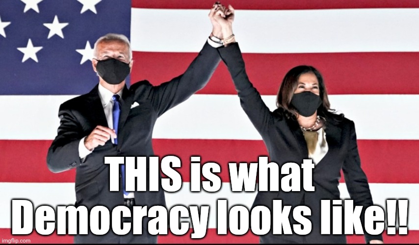 THIS is what Democracy looks like!! | THIS is what Democracy looks like!! | image tagged in joe biden,kamala harris,2020 elections | made w/ Imgflip meme maker