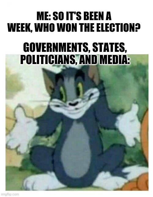 2020 Election after 1 week | ME: SO IT'S BEEN A WEEK, WHO WON THE ELECTION? GOVERNMENTS, STATES, POLITICIANS, AND MEDIA: | image tagged in idk tom template,election,2020,election 2020,trump,biden | made w/ Imgflip meme maker