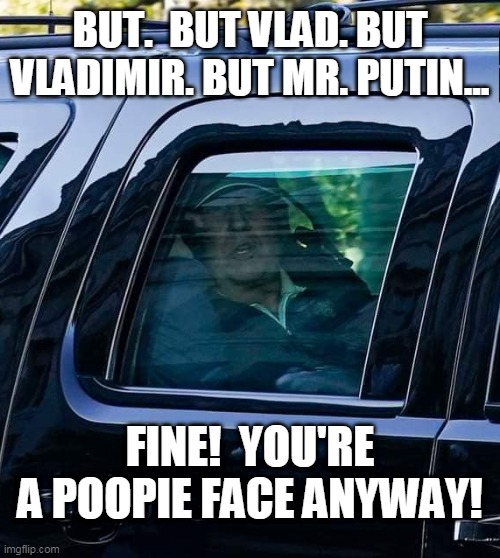 Loser | BUT.  BUT VLAD. BUT VLADIMIR. BUT MR. PUTIN... FINE!  YOU'RE A POOPIE FACE ANYWAY! | image tagged in loser trump,maga2020,donald trump | made w/ Imgflip meme maker