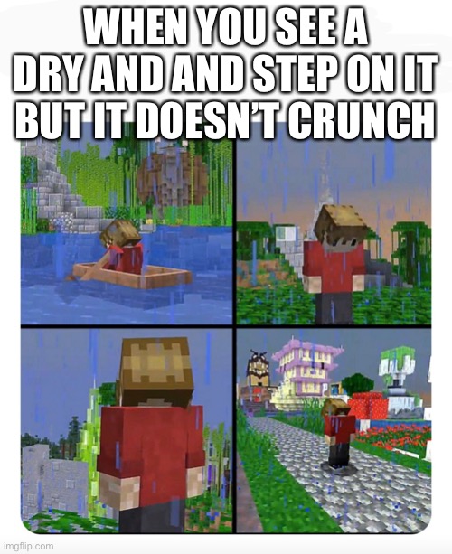 Sad Grian | WHEN YOU SEE A DRY AND AND STEP ON IT BUT IT DOESN’T CRUNCH | image tagged in sad grian | made w/ Imgflip meme maker