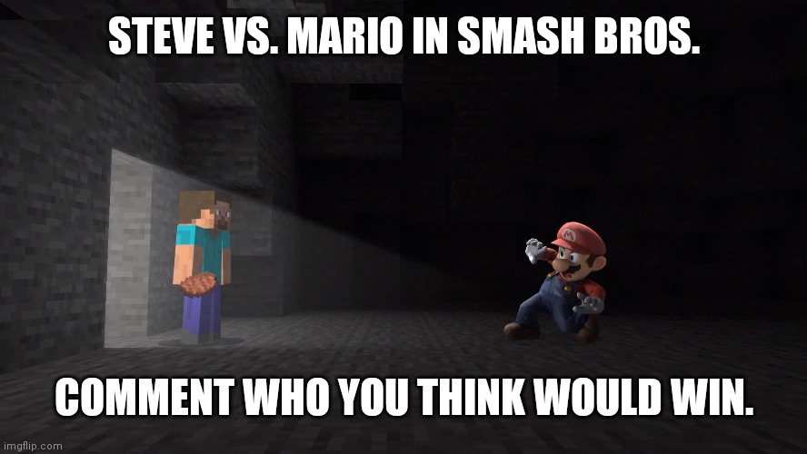 I think Steve, that's my opinion tho. | STEVE VS. MARIO IN SMASH BROS. COMMENT WHO YOU THINK WOULD WIN. | image tagged in steve in smash | made w/ Imgflip meme maker