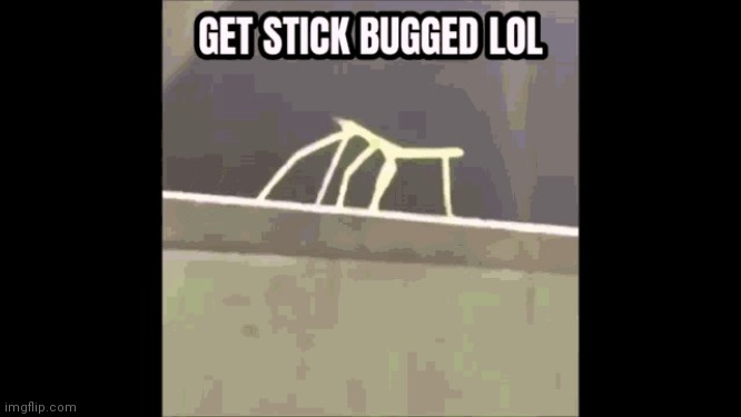 Get Stickbugged Lol | image tagged in get stickbugged lol | made w/ Imgflip meme maker