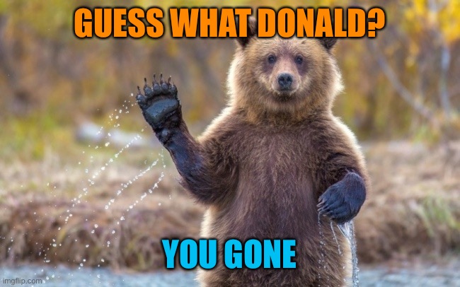 bye bye bear | GUESS WHAT DONALD? YOU GONE | image tagged in bye bye bear | made w/ Imgflip meme maker