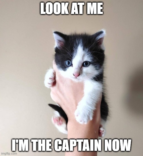 LOOK AT ME; I'M THE CAPTAIN NOW | made w/ Imgflip meme maker