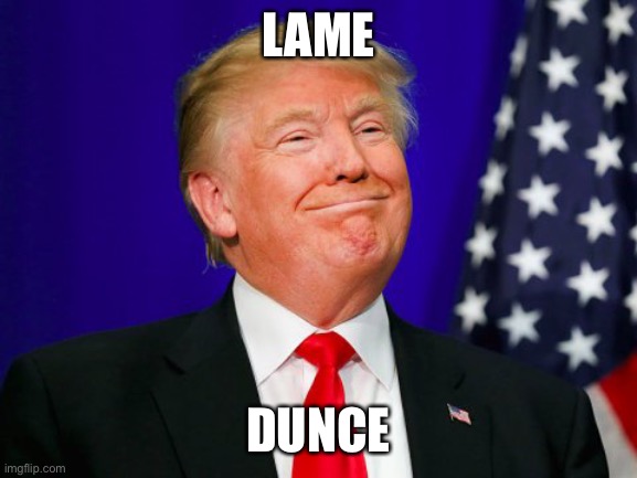 Donald Trump Memes | LAME; DUNCE | image tagged in donald trump memes | made w/ Imgflip meme maker