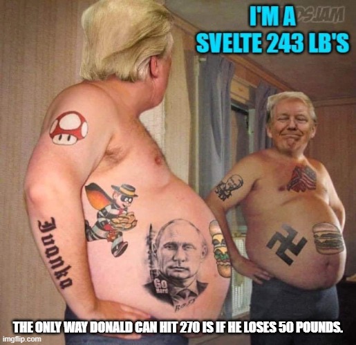 Svelte | THE ONLY WAY DONALD CAN HIT 270 IS IF HE LOSES 50 POUNDS. | image tagged in donald trump | made w/ Imgflip meme maker