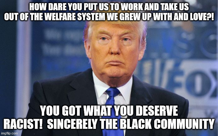 I will just continue to be the hispanic guy you blame for taking your jobs. | HOW DARE YOU PUT US TO WORK AND TAKE US OUT OF THE WELFARE SYSTEM WE GREW UP WITH AND LOVE?! YOU GOT WHAT YOU DESERVE RACIST!  SINCERELY THE BLACK COMMUNITY | image tagged in evil trump | made w/ Imgflip meme maker