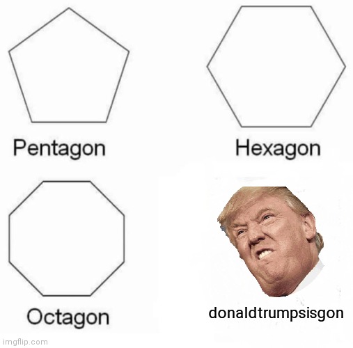 E | donaldtrumpsisgon | image tagged in memes,pentagon hexagon octagon | made w/ Imgflip meme maker
