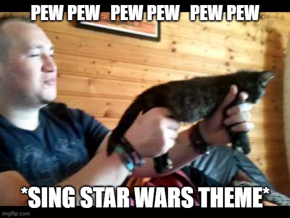 Star Wars Cat Meme | PEW PEW   PEW PEW   PEW PEW; *SING STAR WARS THEME* | image tagged in cat gun,memes | made w/ Imgflip meme maker