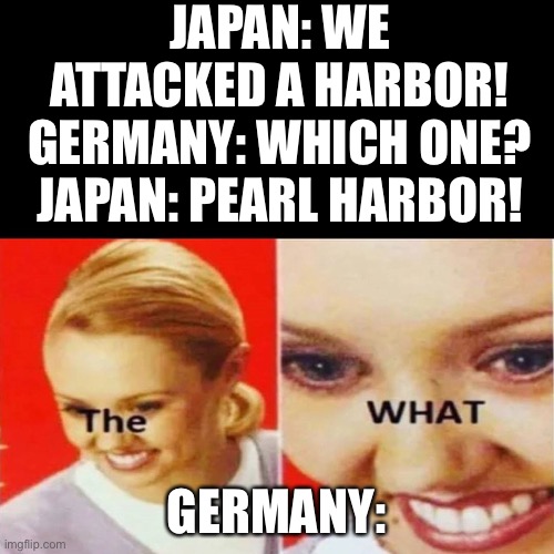 The What | JAPAN: WE ATTACKED A HARBOR!
GERMANY: WHICH ONE?
JAPAN: PEARL HARBOR! GERMANY: | image tagged in the what | made w/ Imgflip meme maker