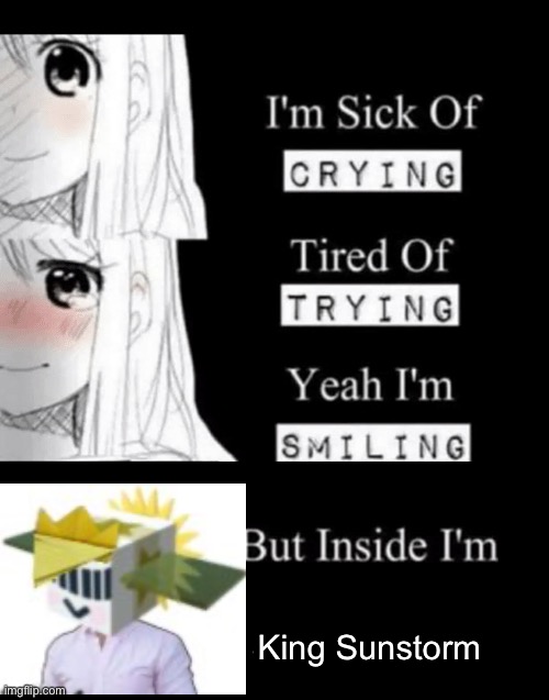 Bruh | King Sunstorm | image tagged in i'm sick of crying | made w/ Imgflip meme maker