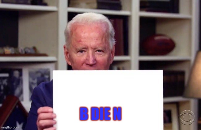 Joe Biden sign | B DIE N | image tagged in joe biden sign | made w/ Imgflip meme maker