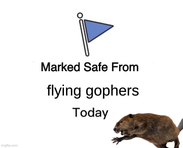Don't worry you are safe | flying gophers | image tagged in memes,marked safe from,flying,gopher,dank memes,funny memes | made w/ Imgflip meme maker