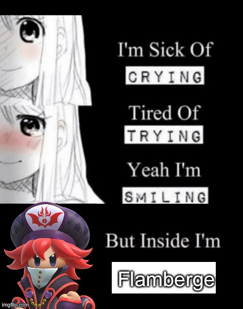 I'm Sick Of Crying | Flamberge | image tagged in i'm sick of crying | made w/ Imgflip meme maker