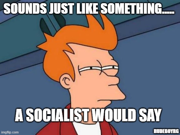 Just What A Socialist Would Say | SOUNDS JUST LIKE SOMETHING..... A SOCIALIST WOULD SAY; RUDEBOYRG | image tagged in memes,futurama fry,socialist | made w/ Imgflip meme maker