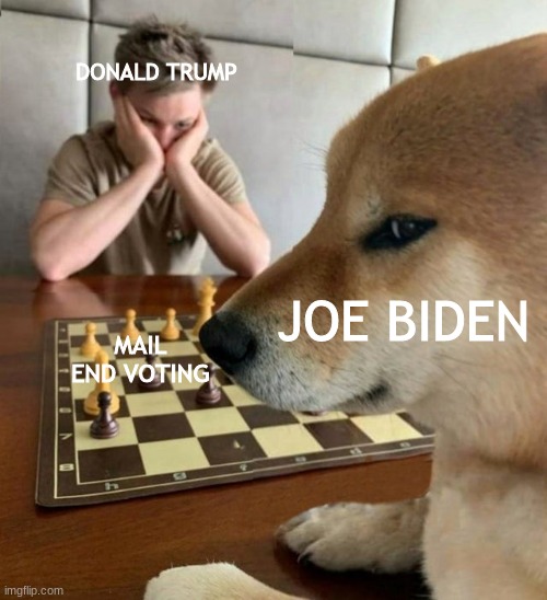 Am I wrong? | DONALD TRUMP; JOE BIDEN; MAIL END VOTING | image tagged in joe biden | made w/ Imgflip meme maker