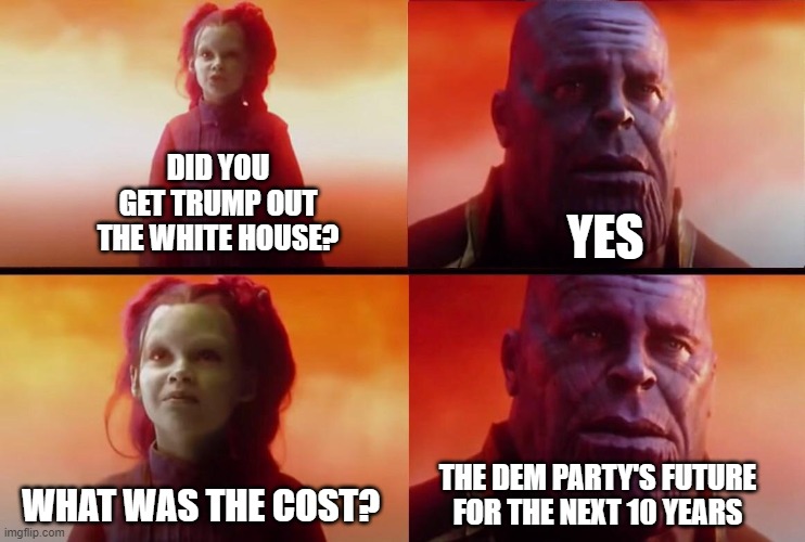 What did it cost? | DID YOU GET TRUMP OUT THE WHITE HOUSE? YES; THE DEM PARTY'S FUTURE FOR THE NEXT 10 YEARS; WHAT WAS THE COST? | image tagged in what did it cost | made w/ Imgflip meme maker