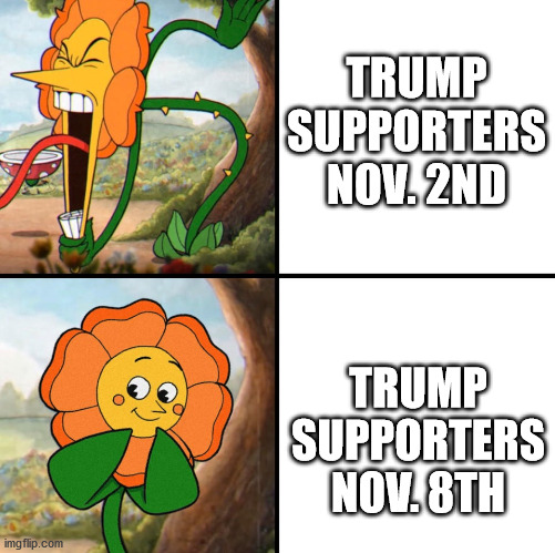 angry flower | TRUMP SUPPORTERS NOV. 2ND; TRUMP SUPPORTERS NOV. 8TH | image tagged in angry flower | made w/ Imgflip meme maker