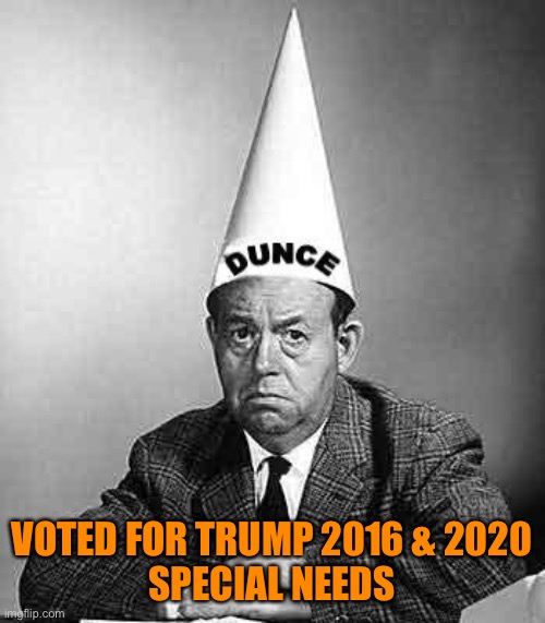 Dunce | VOTED FOR TRUMP 2016 & 2020
SPECIAL NEEDS | image tagged in dunce | made w/ Imgflip meme maker