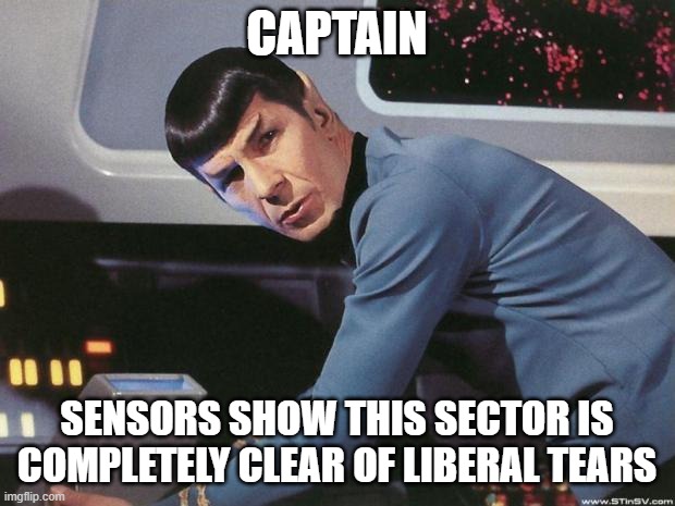 Despite much prognostication | CAPTAIN; SENSORS SHOW THIS SECTOR IS COMPLETELY CLEAR OF LIBERAL TEARS | image tagged in spock,memes,liberal tears,sector clear | made w/ Imgflip meme maker