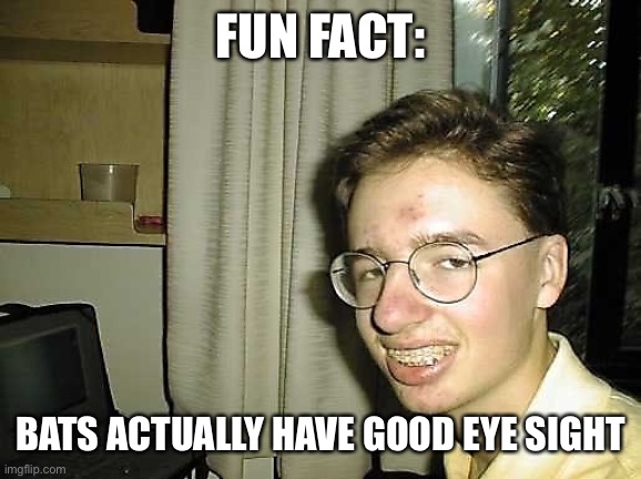 Nerdy Nick | FUN FACT: BATS ACTUALLY HAVE GOOD EYE SIGHT | image tagged in nerdy nick | made w/ Imgflip meme maker