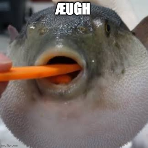 Æugh | ÆUGH | image tagged in ugh | made w/ Imgflip meme maker