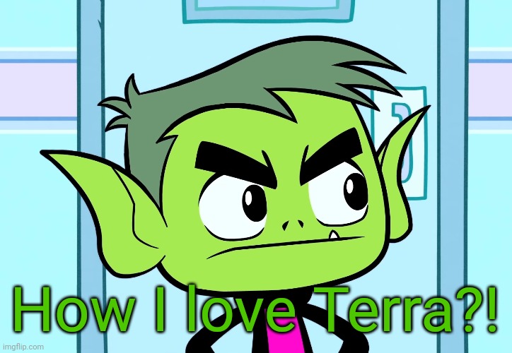 Angry Beast Boy (TTG) | How I love Terra?! | image tagged in angry beast boy ttg | made w/ Imgflip meme maker