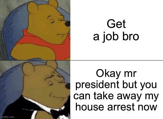 Tuxedo Winnie The Pooh Meme | Get a job bro; Okay mr president but you can take away my house arrest now | image tagged in memes,tuxedo winnie the pooh | made w/ Imgflip meme maker
