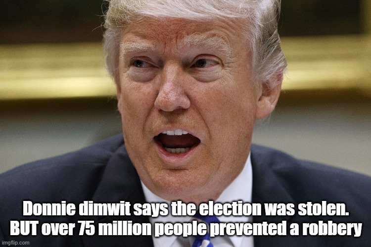 dimwit | Donnie dimwit says the election was stolen.  BUT over 75 million people prevented a robbery  | image tagged in donald trump | made w/ Imgflip meme maker
