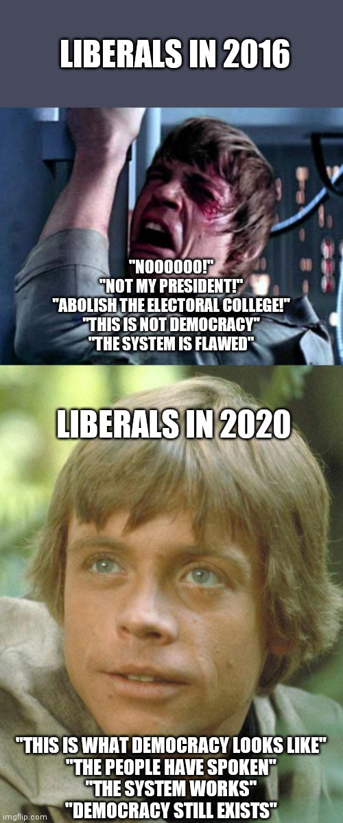 Democracy or not Democracy | LIBERALS IN 2016; "NOOOOOO!"
"NOT MY PRESIDENT!"
"ABOLISH THE ELECTORAL COLLEGE!"
"THIS IS NOT DEMOCRACY"
"THE SYSTEM IS FLAWED"; LIBERALS IN 2020; "THIS IS WHAT DEMOCRACY LOOKS LIKE"

"THE PEOPLE HAVE SPOKEN"

"THE SYSTEM WORKS"

"DEMOCRACY STILL EXISTS" | image tagged in luke skywalker noooo,luke skywalker,liberals,confused | made w/ Imgflip meme maker