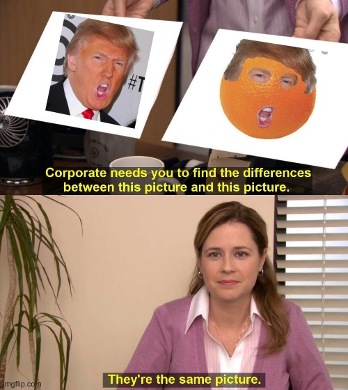 They are the same picture | image tagged in they are the same picture | made w/ Imgflip meme maker