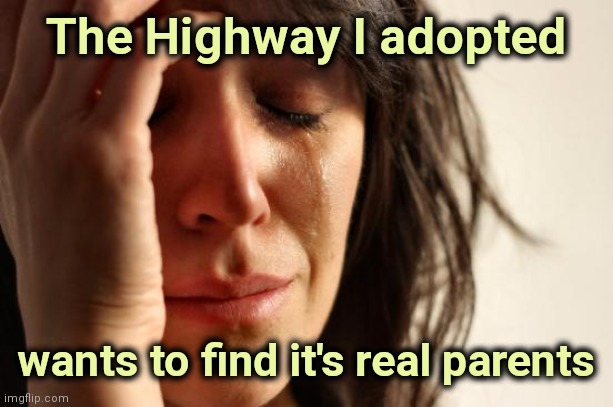I like this one , too | The Highway I adopted wants to find it's real parents | image tagged in memes,first world problems,highway to hell,adopted,driving,crazy | made w/ Imgflip meme maker