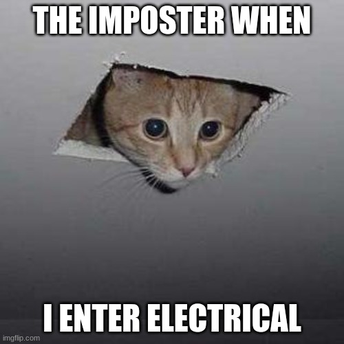 I TOLD U NOT TO GO IN THERE | THE IMPOSTER WHEN; I ENTER ELECTRICAL | image tagged in memes,ceiling cat | made w/ Imgflip meme maker