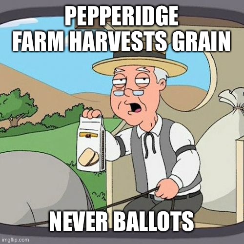 You Reap What You Sow | PEPPERIDGE FARM HARVESTS GRAIN; NEVER BALLOTS | image tagged in memes,pepperidge farm remembers,2020 elections,voting,voter fraud,democrats | made w/ Imgflip meme maker